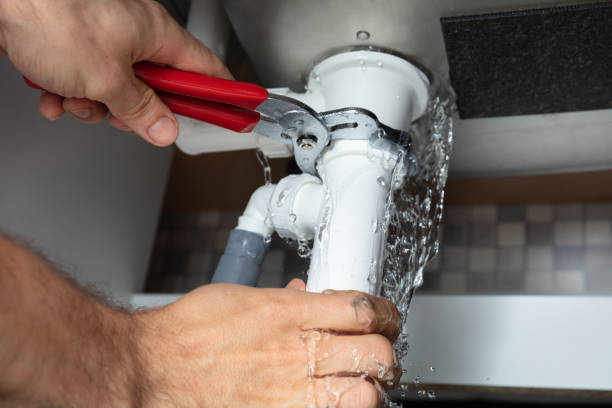 Best Flood damage cleanup  in Rainbow Lakes Estates, FL