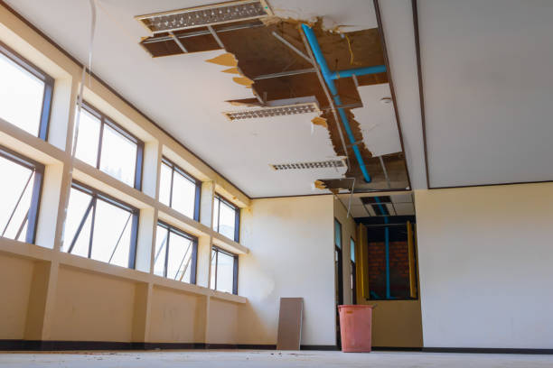 Best Sewage cleanup and water damage restoration  in Rainbow Lakes Estates, FL