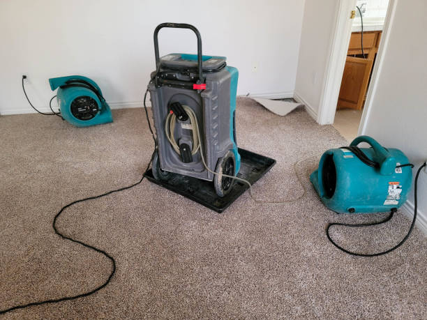 Best Water damage restoration mold remediation  in Rainbow Lakes Estates, FL