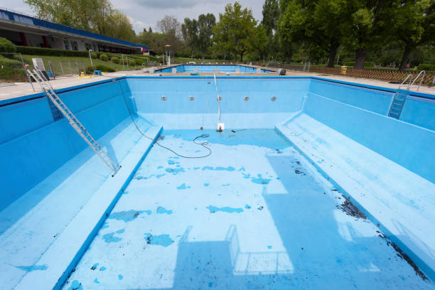Best Professional water damage repair  in Rainbow Lakes Estates, FL
