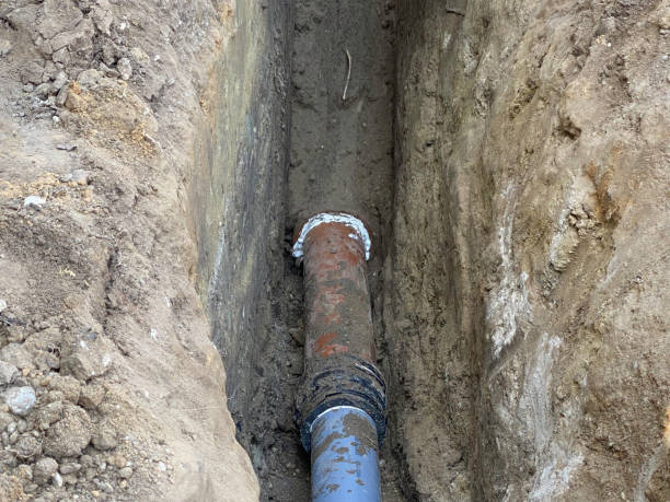 Best Flood restoration services  in Rainbow Lakes Estates, FL