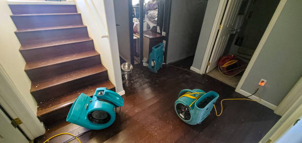 Best Ceiling water damage repair  in Rainbow Lakes Estates, FL