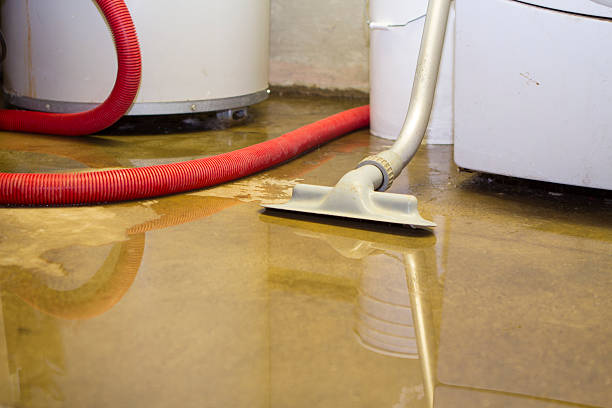 Best Water damage cleanup near me  in Rainbow Lakes Estates, FL
